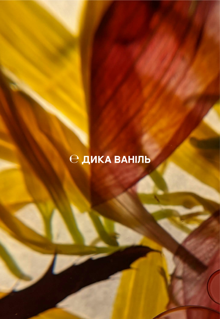 SENSE Шампунь для волосся Дика Ваніль 200 мл