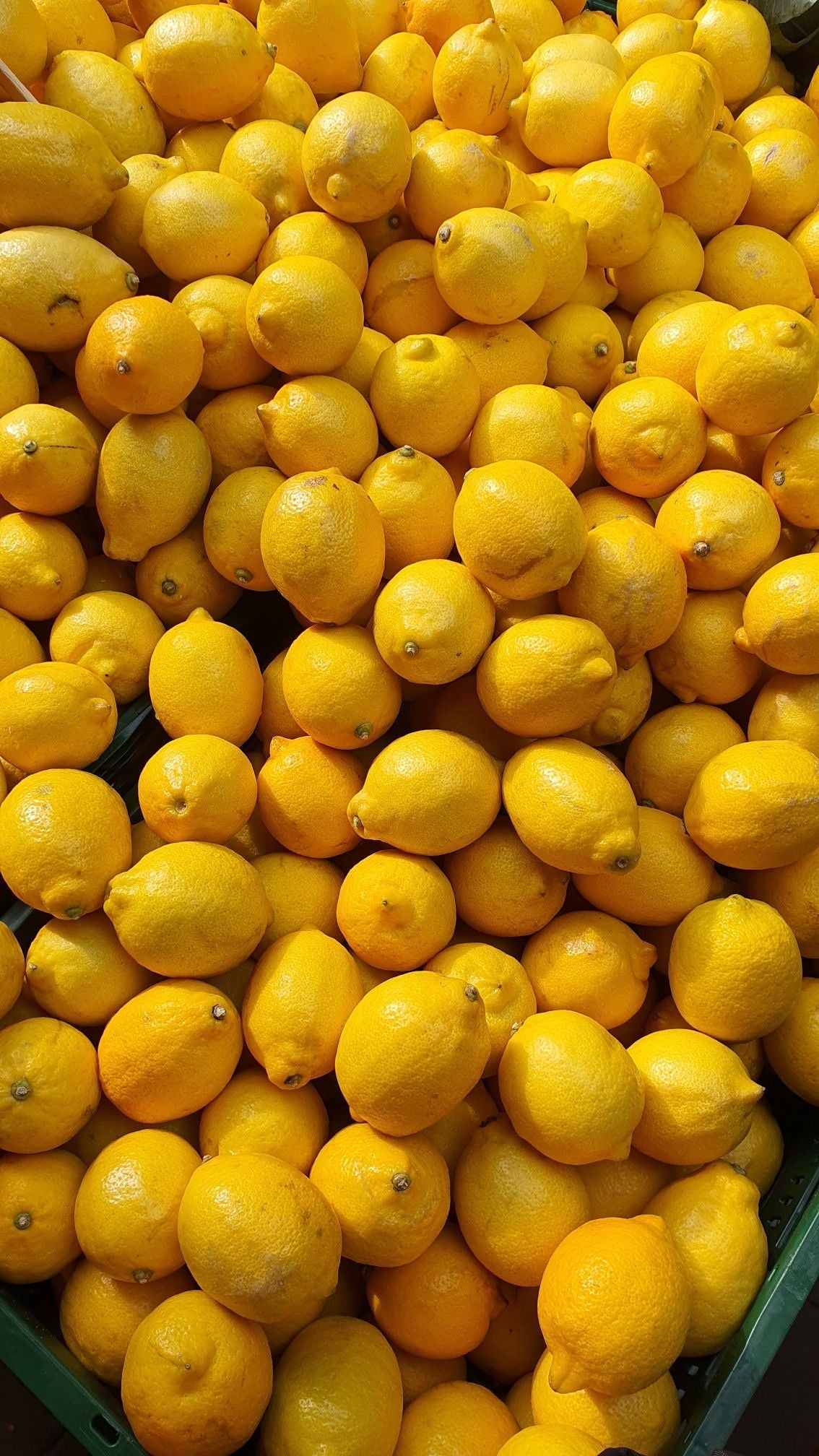 Come With Me Крем для тіла "Verbena&Lemon"