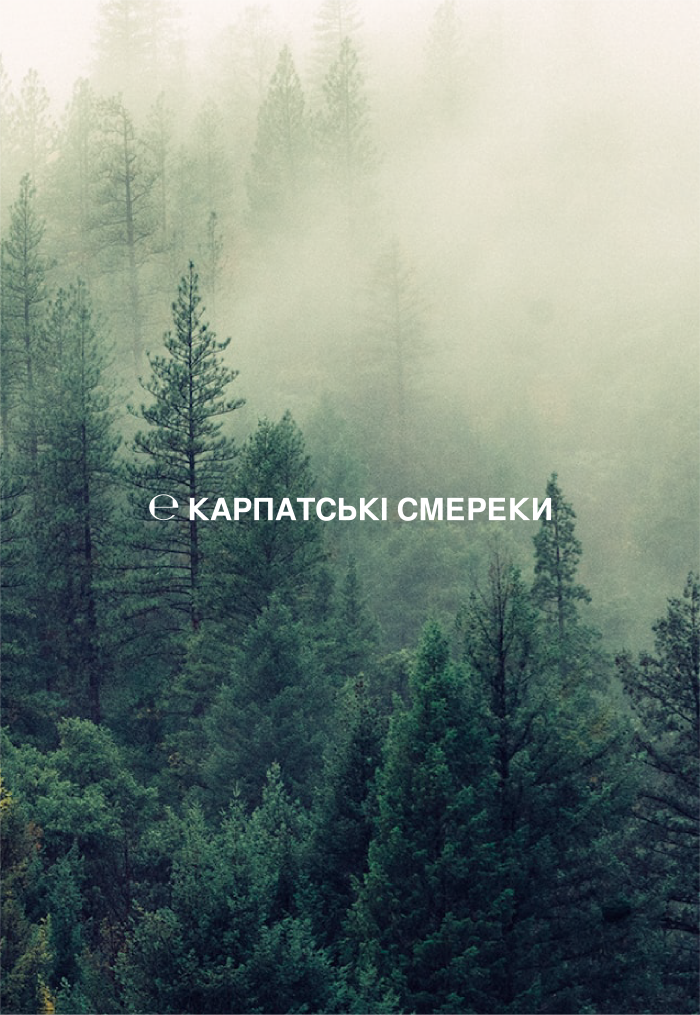 SENSE Гель-желе для купання Карпатські смереки 500мл