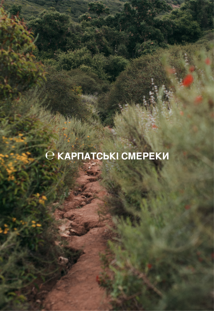SENSE Лосьйон-суфле для тіла Карпатські смереки 300мл