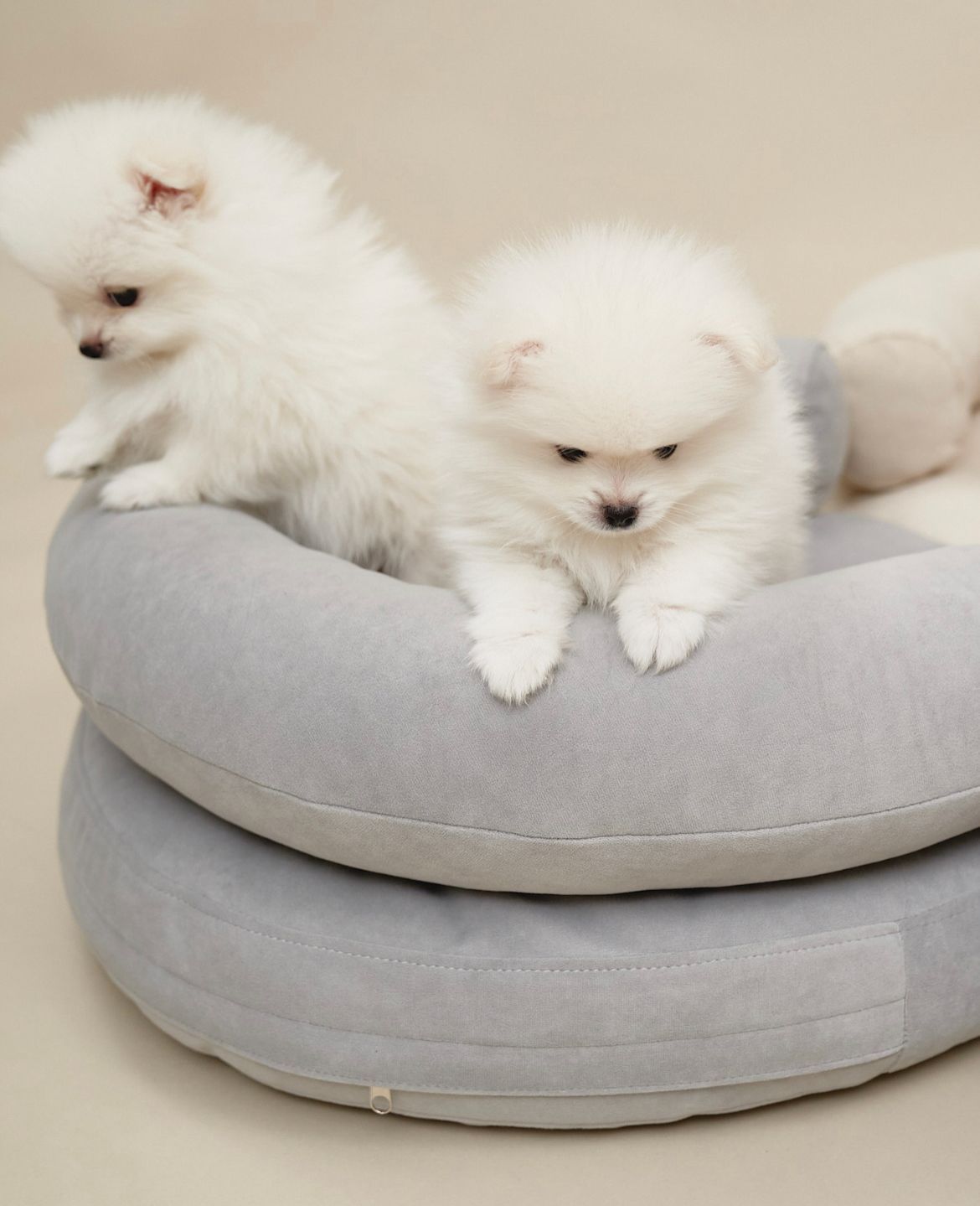 CHOU CHOU Лежак ортопедичний для собак "Marshmallow" сіро-блакитний