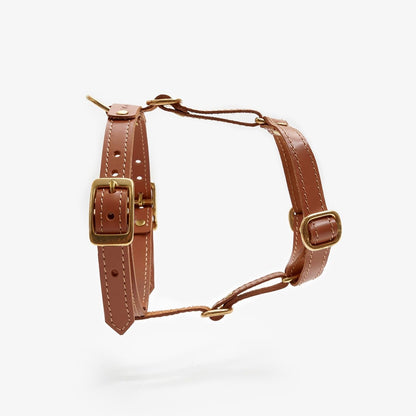 CHOU CHOU Шлея для собак шкіряна анатомічна руда "Classy"