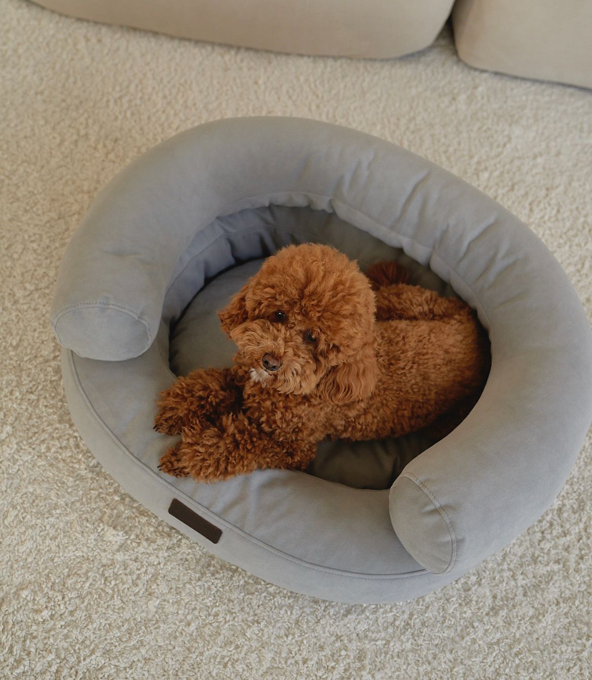 CHOU CHOU Лежак ортопедичний для собак "Marshmallow" сіро-блакитний