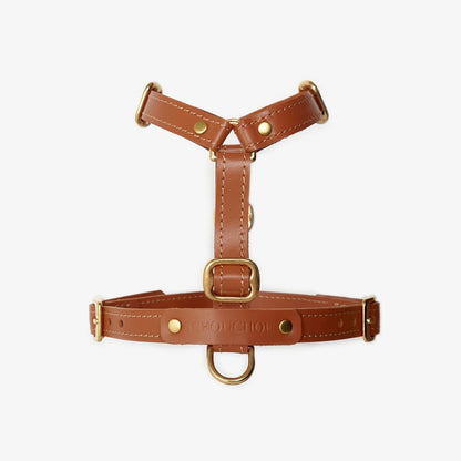 CHOU CHOU Шлея для собак шкіряна анатомічна руда "Classy"