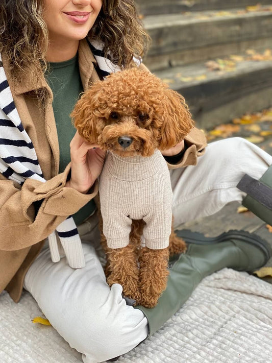 CHOU CHOU Гольф класичний з ангори для собак бежевий