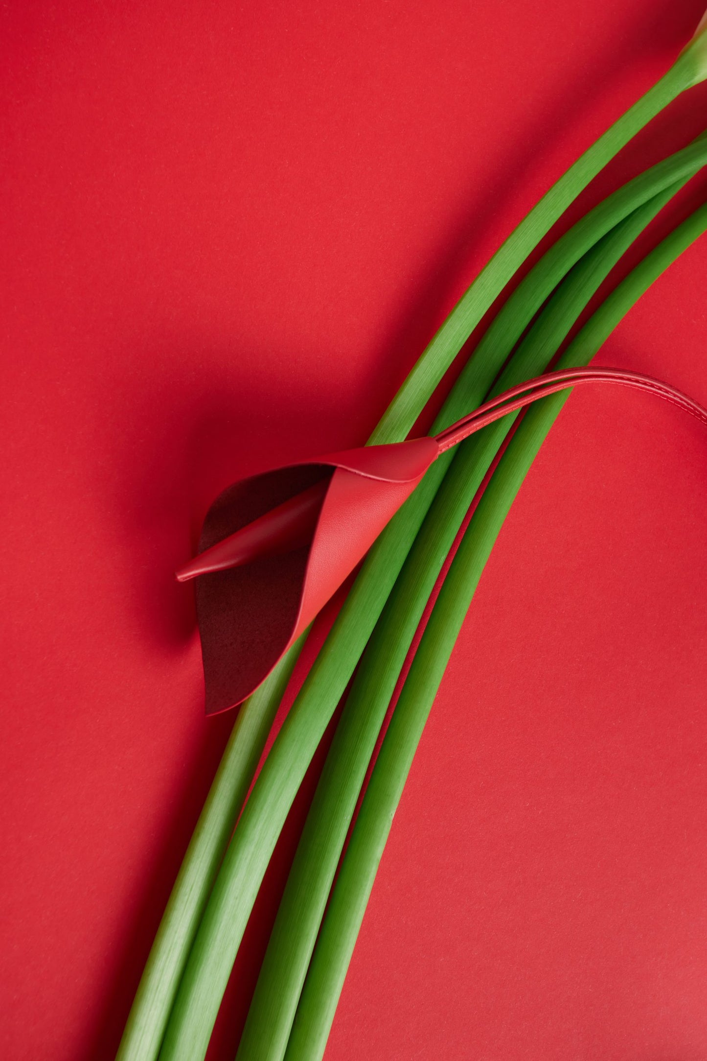 FORMI Підвіс Flower