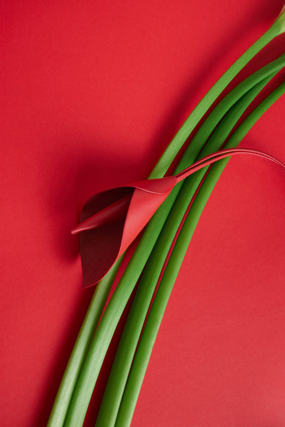 FORMI Підвіс Flower