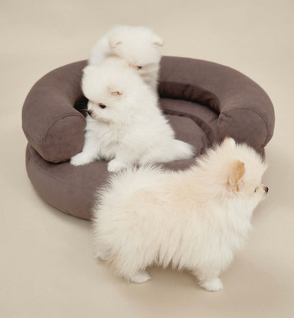 CHOU CHOU Лежак ортопедичний для собак "Marshmallow" коричневий